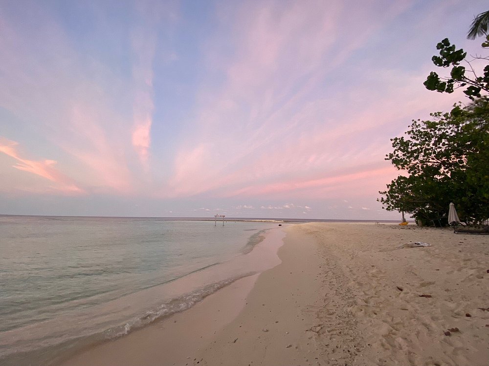 What to Expect When Staying at a Local Island Hotel in the Maldives